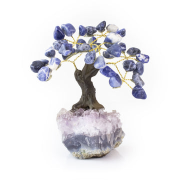 Small Sodalite bonsai tree with tumbled gemstone leaves on raw amethyst crystal base.
